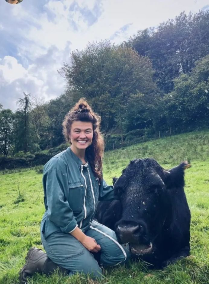 Nessie kneeling beside a cow in a Welsh field